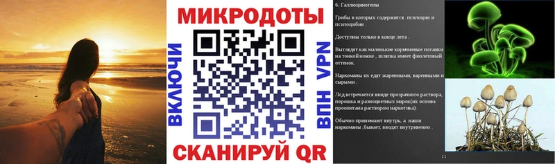 Псилоцибиновые грибы Psilocybe закладки Железногорск-Илимский